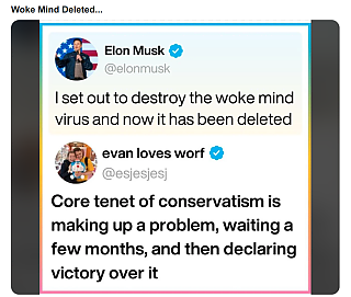 ELON_MUSK_WOKE_MIND_VIRUS~2.png