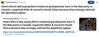 ELON_THE_NAZI_NNN~2.png
