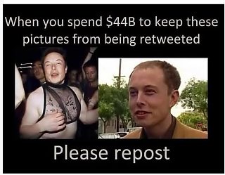 ELON_THE_SCAMMER_98756~2.png