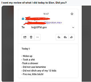 EMAIL_TO_ELON_MUSK_RAT~2.png