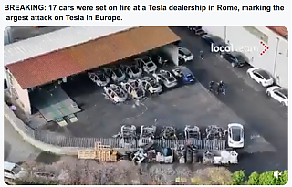 EVERYONE_HATES_ELON_MUSK_THE_SCUM_BOY~2.png