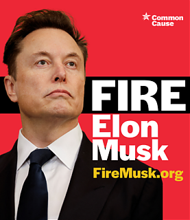 FireMuskPopup433x500~0.png
