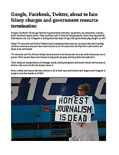 GoogleFacebookTwittercanfacefelonychargesandgovernmentresourceterminationpdf~0.jpg
