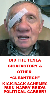 HARRYREIDTESLAKICKBACKS_ELON_MUSK_IS_A_CROOK_AND_SCAMMER~0.png