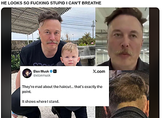 How_Stupid_Is_Elon_Musk_9733~2.png