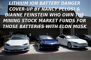 PICKET_THIS_TESLA_STORE_Elon_Musk_Corruption_And_Crappy_Engineering_Make_Tesla_Cars_So_Unsafe___MUSK~0.png
