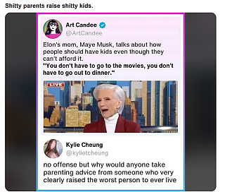 SCREW_YOU_MAYE_MUSK~2.png