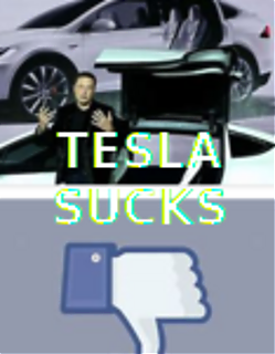 THUMBS_DOWN_FOR_TESLA117x150__MUSK~0.png