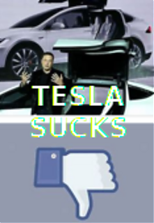 THUMBS_DOWN_FOR_TESLA~1.png