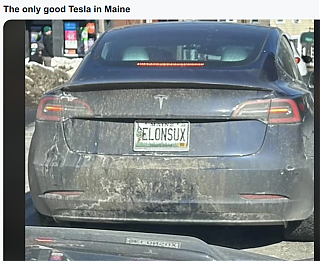 eLon_sux~2.png