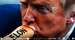 trump_and_elon_musk~1.png
