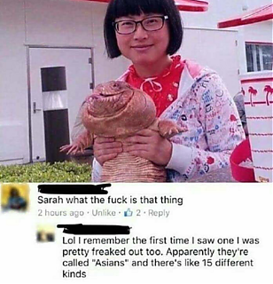 ASIANS_Are_better.png