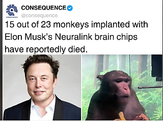 Musk_Murders_Monkeys~0.png