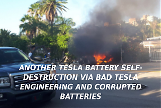 TESLA_DEATH_CAR_CRASH_AGAIN_Elon_Musk_Corruption_And_Crappy_Engineering_Make_Tesla_Cars_So_Unsafe_~0.png