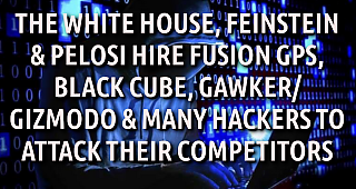 DIANNE_FEINSTEINS_MEDIA_ASSASSINS~0.png